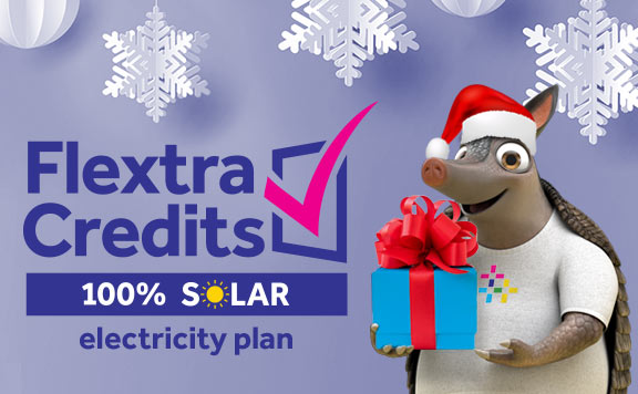 Light up the season with 2 FREE electricity days EVERY week
