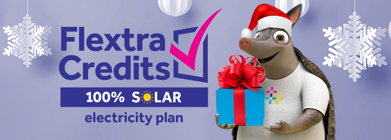 Light up the season with 2 FREE electricity days EVERY week
