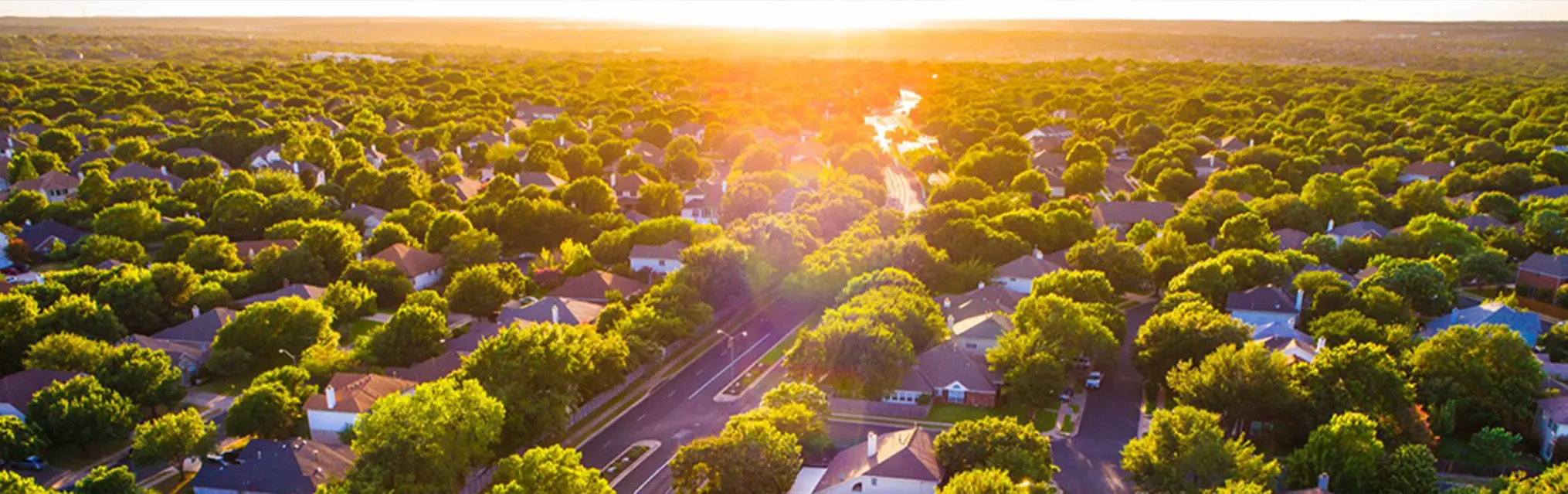 Compare Texas Energy Plan Contracts
