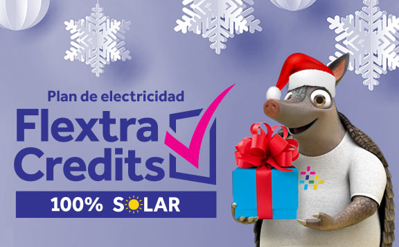 Ilumina la temporada con 2 días de electricidad GRATIS cada semana
